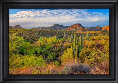 Framed Jewel Evening Print