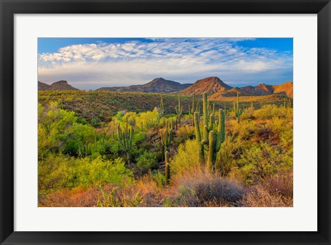 Framed Jewel Evening Print