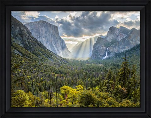 Framed Tunnel View Sun Rays Print