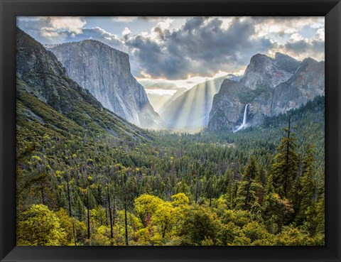 Framed Tunnel View Sun Rays Print