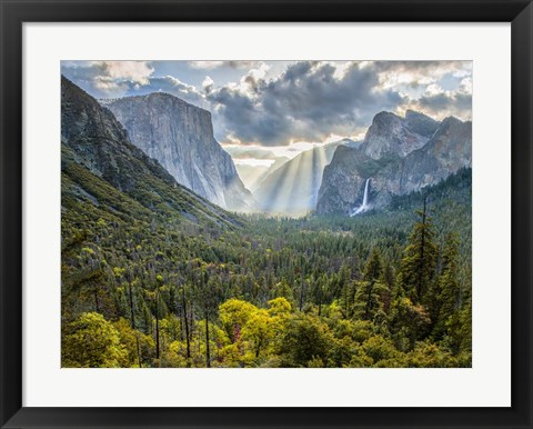 Framed Tunnel View Sun Rays Print