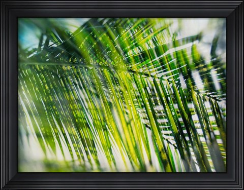 Framed Evergreen No. 8 Print