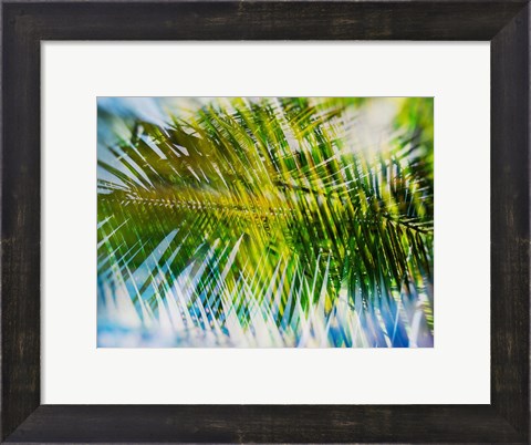 Framed Evergreen No. 9 Print
