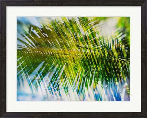 Framed Evergreen No. 9 Print