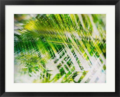 Framed Evergreen No. 11 Print