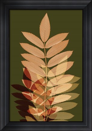 Framed Fall Leaves 2 Print