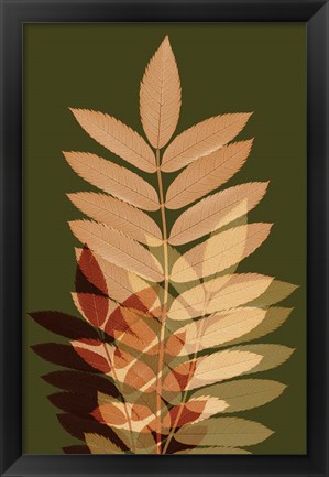 Framed Fall Leaves 2 Print