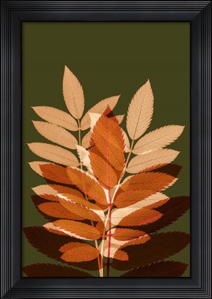 Framed Fall Leaves 4 Print