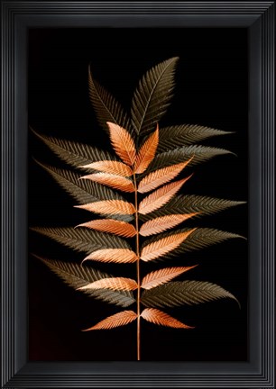 Framed Fall Leaves 6 Print