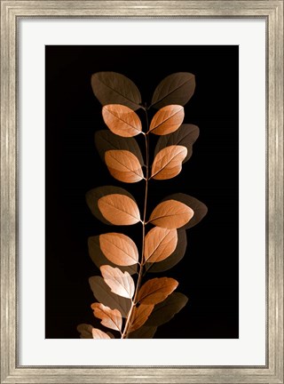 Framed Fall Leaves 7 Print