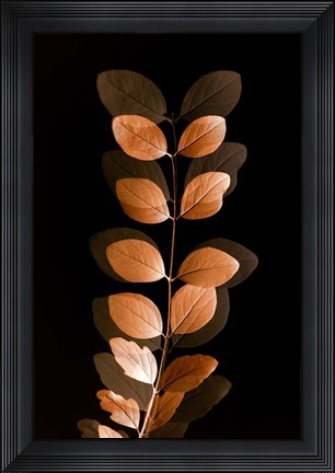 Framed Fall Leaves 7 Print