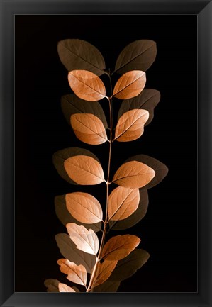 Framed Fall Leaves 7 Print