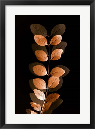 Framed Fall Leaves 7 Print