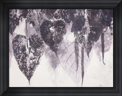 Framed Bean Tree Print