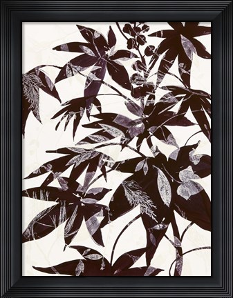 Framed Castor Bean 2 Print