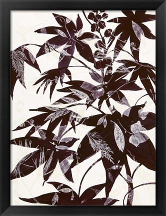 Framed Castor Bean 2 Print