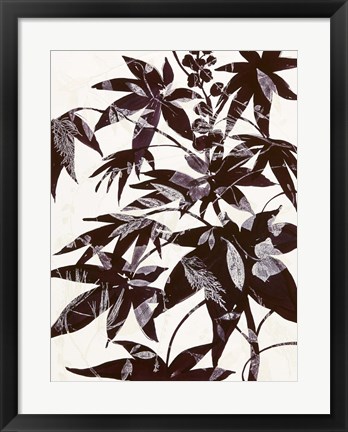 Framed Castor Bean 2 Print