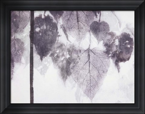 Framed Catalpa Print