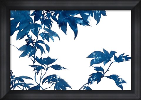 Framed Quercifolia Print