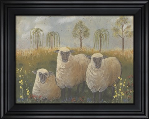 Framed Three Sheep Print