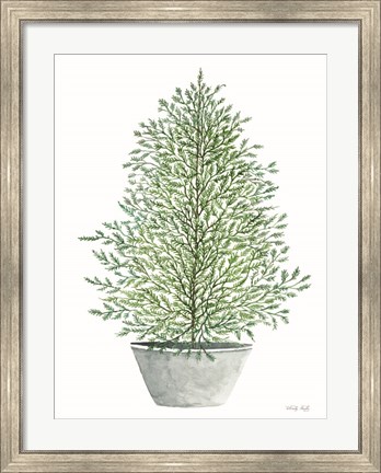Framed Cedar Tree in Pot Print