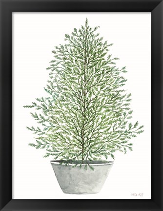 Framed Cedar Tree in Pot Print