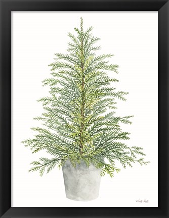 Framed Spruce Tree in Pot Print