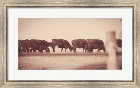 Framed Cattle Row Print