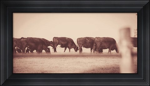 Framed Cattle Row Print