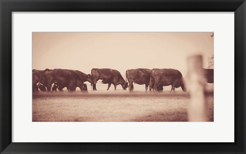 Framed Cattle Row Print