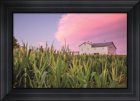 Framed Corn Crop Print