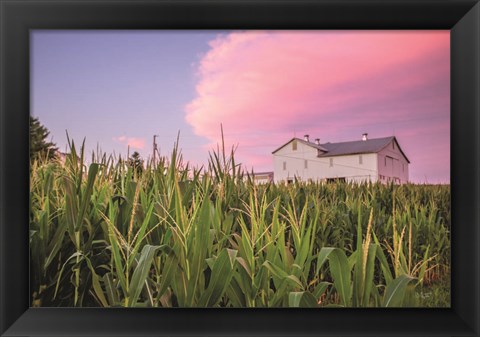 Framed Corn Crop Print