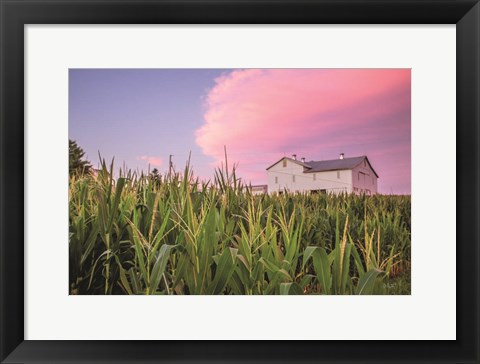 Framed Corn Crop Print