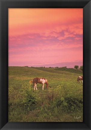 Framed Horse at Sunset Print