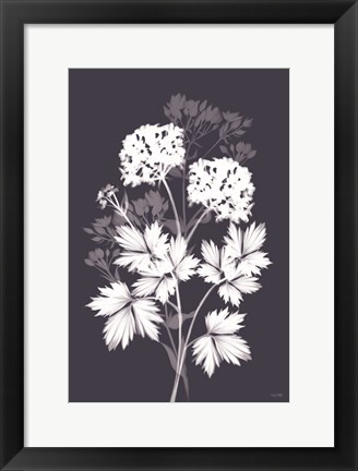 Framed Blues in Bloom II Print