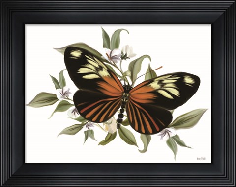 Framed Botanical Butterfly Heliconius Print