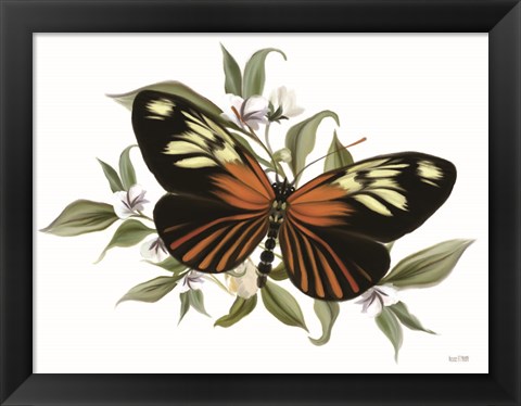 Framed Botanical Butterfly Heliconius Print