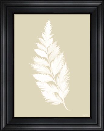 Framed Botanical White Fern Print