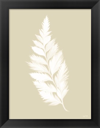 Framed Botanical White Fern Print