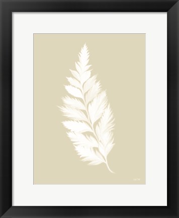 Framed Botanical White Fern Print