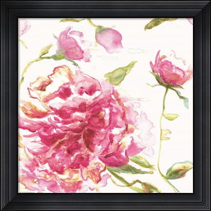 Framed English Rose Print