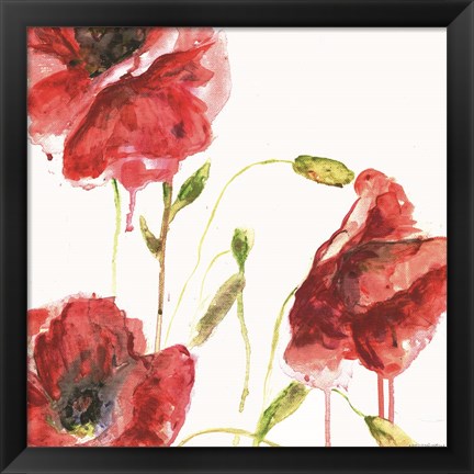 Framed Poppies Print