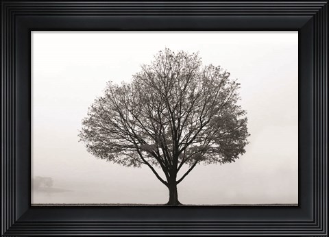 Framed Flying Solo Print