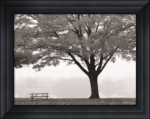 Framed Empty Table Print