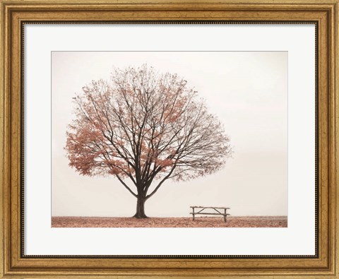 Framed Barely There Print
