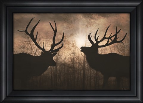Framed Elk Sunrise III Print