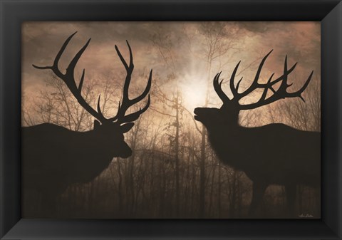 Framed Elk Sunrise III Print