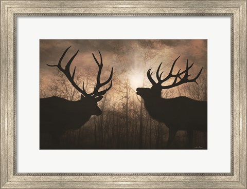 Framed Elk Sunrise III Print