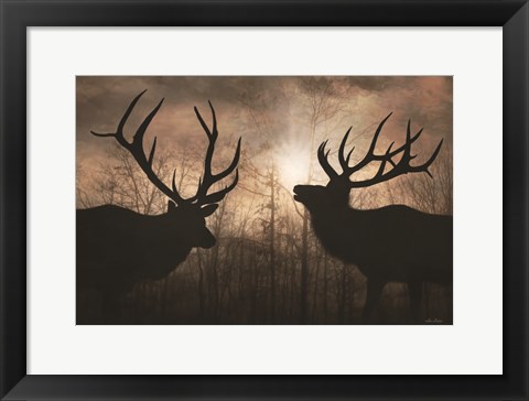 Framed Elk Sunrise III Print