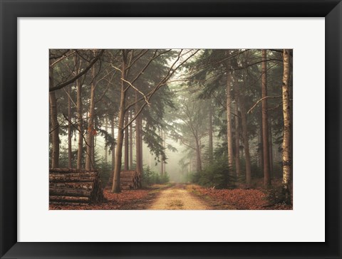 Framed Harvesting Time Print